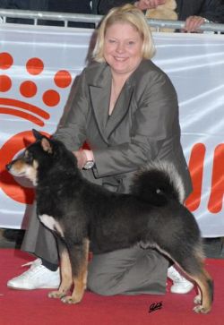 picture of dog