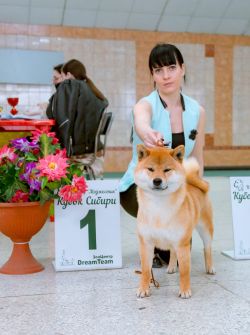picture of dog