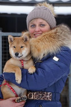 picture of dog