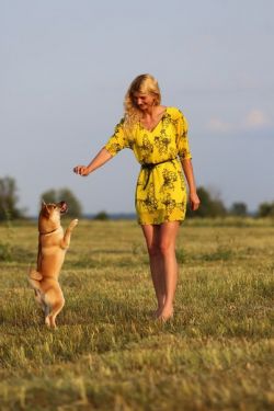 picture of dog