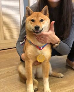 picture of dog