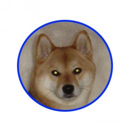 picture of dog