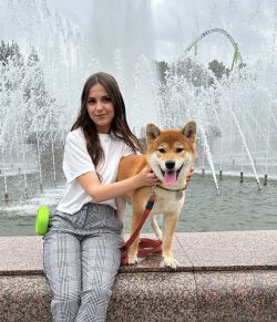 picture of dog