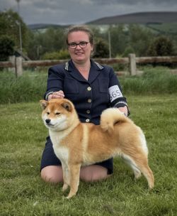 picture of dog