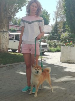 picture of dog