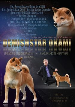 picture of dog