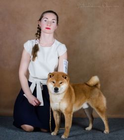 picture of dog