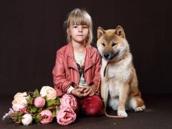 picture of dog