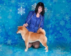 picture of dog