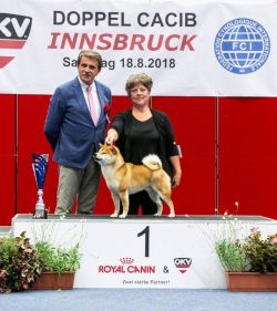 picture of dog