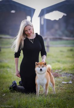 picture of dog
