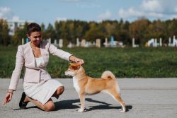 picture of dog