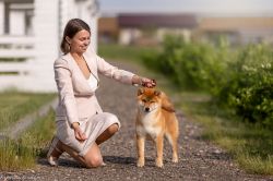 picture of dog