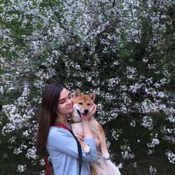 picture of dog