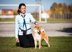 picture of dog