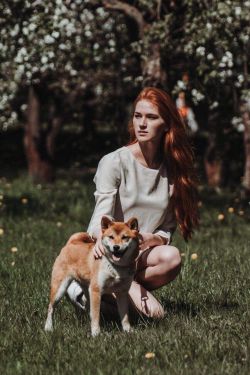 picture of dog