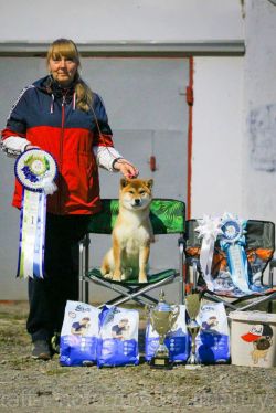 picture of dog