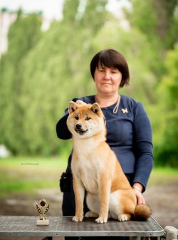 picture of dog