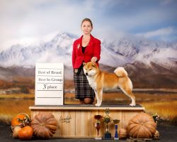 picture of dog