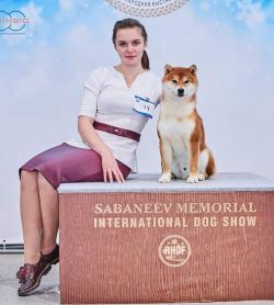 picture of dog