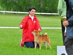 picture of dog