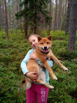 picture of dog
