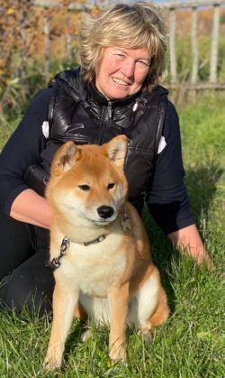 picture of dog