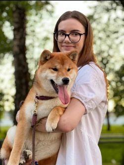 picture of dog