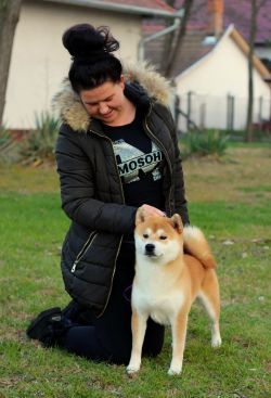 picture of dog