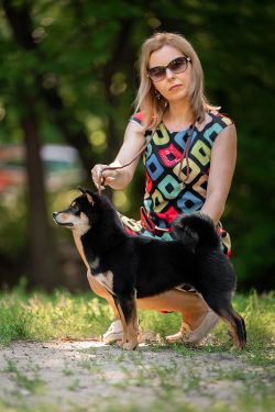 picture of dog