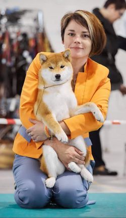 picture of dog