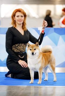 picture of dog