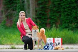 picture of dog