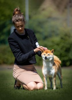 picture of dog