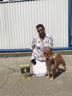 picture of dog