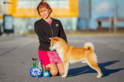 picture of dog