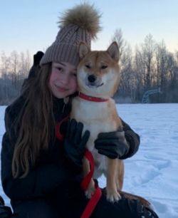 picture of dog