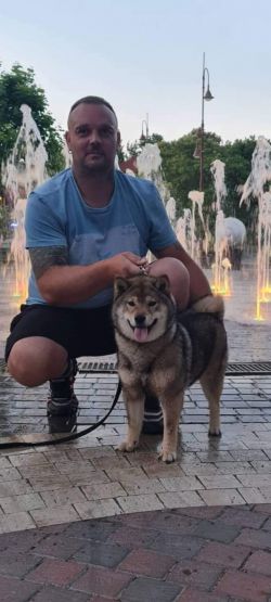 picture of dog