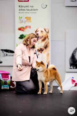 picture of dog