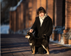 picture of dog