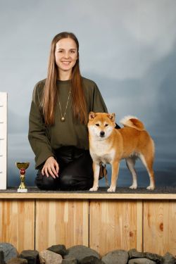 picture of dog