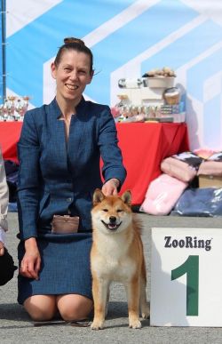 picture of dog