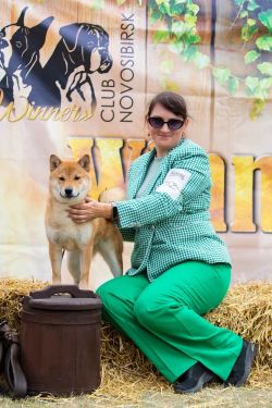 picture of dog